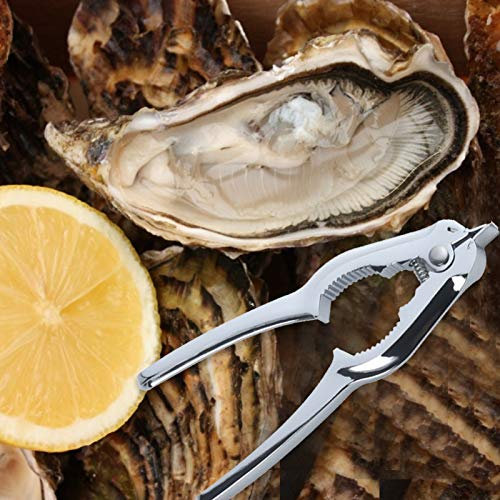 Ouvre-noix en alliage de zinc, outils de fruits de mer, huîtres, crabe, pattes de pécan, outils comestibles, casse-noix, fourchettes à poisson, crevettes, homards, crabes avec indentations dentelées,