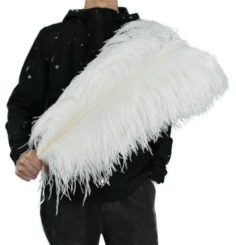 Plumes d'autruche blanches décoratives, 15-70 cm, 10 pièces, pour centre de table, accessoires décoratifs de carnaval, 50-55 cm, grand mât