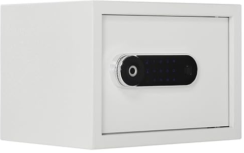 Home Safe Luxury Jewelry Safe with Fingerprint&Keypad Lock, Removable Shelf, Office Hotel High Security for safes, 1.0 Cubic Feet。(No fireproof bag, 9.8H X 13.8W X 10.8D)