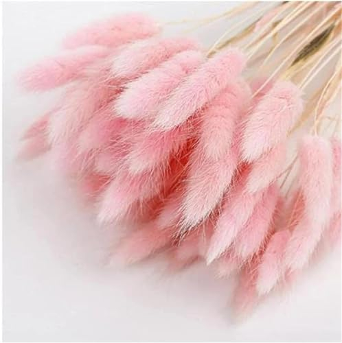 FOSANGPUSHI Fleurs séchées,120 pièces 45 cm Herbe de Pampa séchée Blanche, queues de Lapin queues de Lapin, Fleurs séchées pour la décoration intérieure bohème Maison décor de Mariage Rose