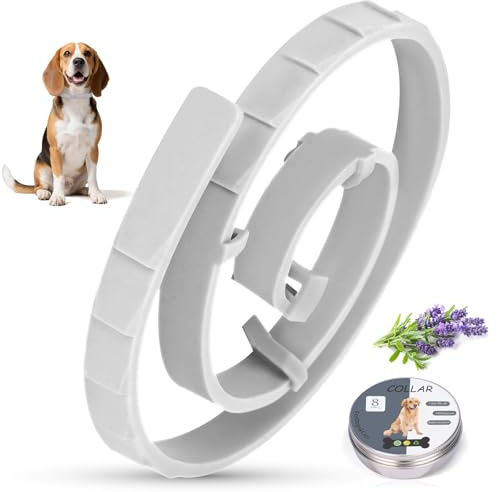 Collar Antiparasitario Perros, 69cm Impermeable & Ajustable, Collar Antipulgas Perros Previene leishmaniosis, Protección 8 Meses Gris