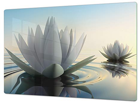 Salvaencimera Extra-Grande de vidrio templado - Conjunto de tablas para picar - Cubre Vitro Gigante – UNA PIEZA (80 x 52 cm) o DOS PIEZAS (40 x 52 cm) Serie de Flores DD06A