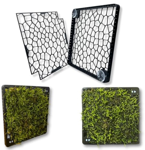 Generisch Mooswand Aquarium – Rückwand-Gitter zum Begrünen – Slim Design mit Saugnapf – für Moos & Aufsitzerpflanzen – Aquarium Pflanzen Zubehör (Saugnapfbefestigung)