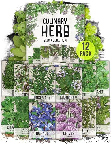 Non-GMO Culinary Herb Seed Collection| 12 Individual Seed Packets Incl. 4|000+ Seeds Collectively (Sage| Basil| Chives| Cilantro| Rosemary| Dill| Marjoram| Oregano & More!) Seeds by Seed Needs
