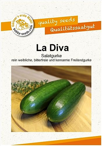 Gurkensamen La Diva Salatgurke Portion Grün