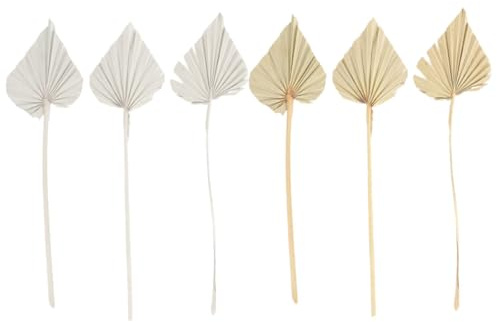 Yardenfun 1 Jeu Palmier Séchées Naturelles Décoration Murale Tropicale pour Arrangement Floral Et Ornement Maison Salon 6 Pièces