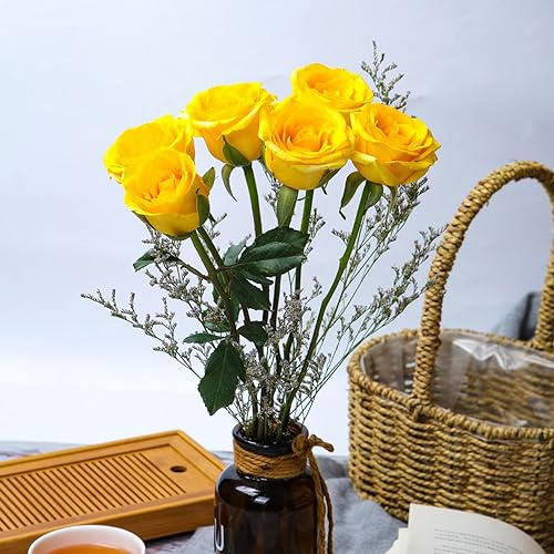semillas de rosa resistentes en macetas al aire libre rosas trepadoras - rosas - pradera de decorativas perenne jardín semillas pradera trepadoras, jardín 60semillas