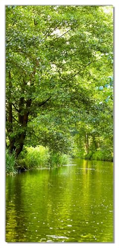 Wallario Selbstklebende Türtapete Spreewald in Brandenburg grüne Wälder und Spiegelungen im Wasser - Türposter 93 x 205 cm Abwischbar, rückstandsfrei zu entfernen