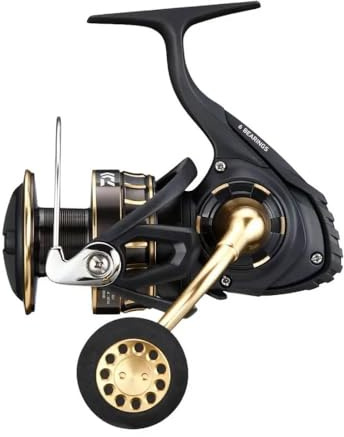 DAIWA Spinnrolle 23BG SW 4000-18000, Verschiedene Modelle (Modell 2023)