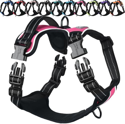VIVAGLORY Anti Zieh Geschirr für Hunde Hundegeschirr, S, Rosa, B | Antizuggeschirr mit Gepolstert Griff & Brustring, Anti Zieh Mitwachsend Ausbruchsicher & Reflektierend für Welpe Hund