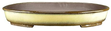 Ovale Bonsaischale aus senfgelb-braun glasiertem Steingut 67x49,5x6 cm - TY113a