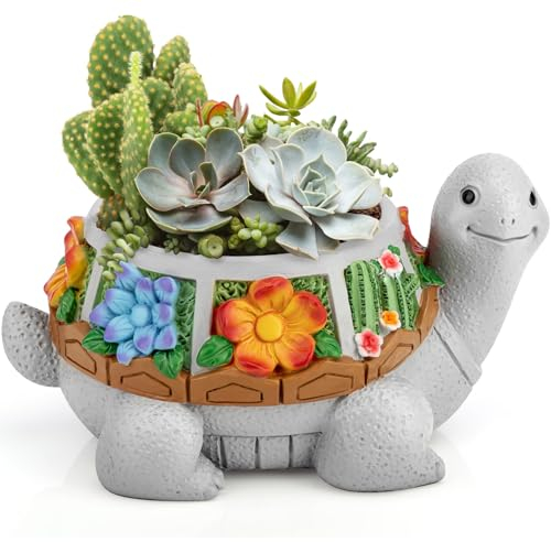 Grovind Macetas de plantas suculentas, macetas de tortugas con orificio de drenaje, lindas macetas para cactus, macetas para plantas de interior, hogar, jardín, maceta, regalos