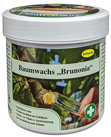 Schacht 1BAUM250 Baumwachs Brunonia 250 g Dose