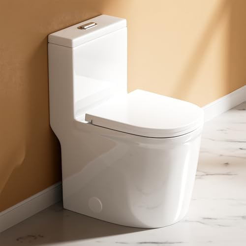 WinZo Compact One Piece Toilet 22.8 Depth Modern Short Design Dual Flush for Small Tiny Mini Bathroom 12 Rough-in,White (WZ5079)