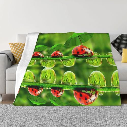 HAHAFU Lustige Marienkäfer mit Regenschirmen, personalisierbar, bedruckt, warm, weich, bequem, Flanell-Überwurfdecke für Bett, Sofa