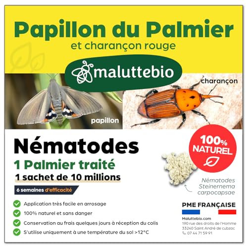Nématodes contre le Papillon du palmier et le Charançon Rouge - Nematodes palmier - Pour traiter 1 palmier - 10M