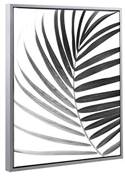 Bildershop-24 Schattenfugenrahmen Set Lemgo Alu geschliffen (Dekor) mit Keilrahmen Leinwand Bild Druck Motiv: Palmenblatt 2 61x91cm