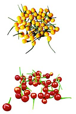 Semi di Peperoncino Aji Charapita, Giallo e Rosso, Organico, 10 Semi per Colore, Coltivazione in Pieno Sole