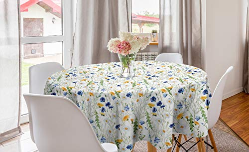 ABAKUHAUS Natur Runde Tischdecke, Mohnblumen Gänseblümchen Rural, Kreis Tischdecke Abdeckung für Esszimmer Küche Dekoration, 150 cm, Pale Grün Gelb Blau