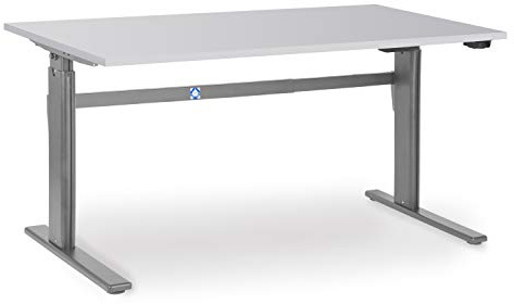 goodsforbusiness GmbH Elektrisch höhenverstellbarer Schreibtisch 200 x 80 cm Lichtgrau, höhenverstellbar 700-1.170 mm, Arbeitstisch Produktionstisch Bürotisch eigene Fertigung