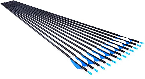 SHARROW 12 Stück Bogenschießen Carbonpfeile 30 Zoll Carbon Pfeile Jagdpfeile Zielpfeile Spine 700 Pfeile aus Carbon für Recurvebogen Anfänger (Blau)