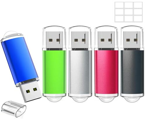 WISEORANGE 64 Go Clé USB Lot de 5 Cle USB 64 Go Métal USB 2.0 (5 Couleurs) | avec Balises utiles, pour Le Stockage et la Sauvegarde des données pour PC, Ordinateur Portable, TV avec Lumière LED