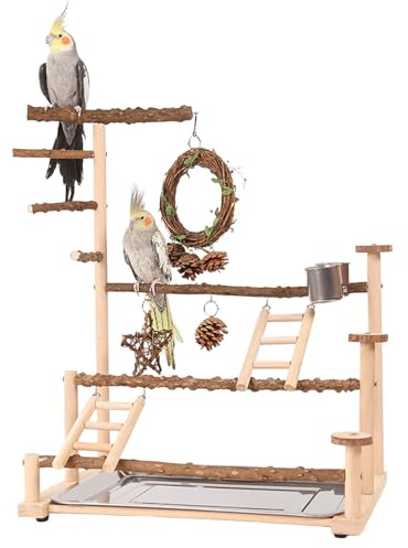 CHSEEO Vogelspielplatz Wellensittich Spielplatz Spielzeug, Großer vogel Spielplatz mit Schaukel Sitzstangen Leiter & Vogel Zubehör wie Tablett und 2 Futternäpfe, Vogelbaum für Papageien Kanarienvogel