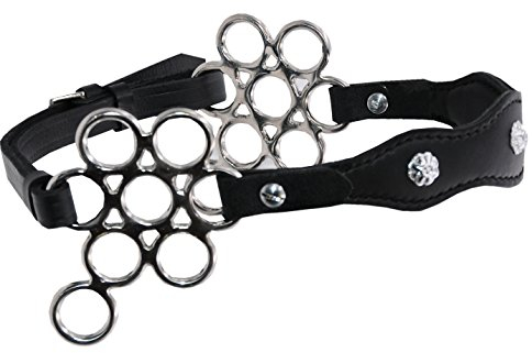 AMKA Barock Hackamore Glücksrad Edelstahl weich gepolstert mit Blumenmotiv Conchos am Nasenband, weich gepolstert