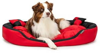 lionto Hundebett 4-in-1 mit Wendekissen, 110 x 80 cm, Schwarz | Robustes, wasserabweisendes Haustierbett mit Oxford-Bezug, herausnehmbarem Kissen und tiefem Einstieg für Hunde und Katzen