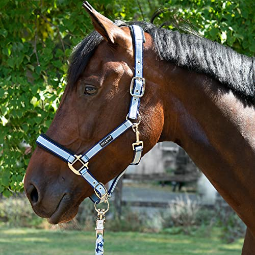 CALEVO - Stallhalfter Stripes