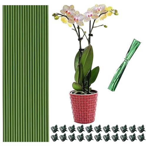 Wbgraceful 20 pali per piante pieghevoli, picchetti di supporto per orchidee con clip, pali di supporto per piante da giardino a stelo singolo per piante da interno, piante in vaso, fiori orchidea