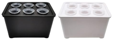 Sistema di coltivazione idroponica con fioriera a 6 fori, kit di coltivazione senza suolo per interni con materiale PP, per davanzale o bancone della cucina