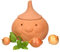 MamboCat Pot à oignons Onni avec couvercle, pour ranger env. 900 g d'oignon, produit 100 % naturel en terre cuite véritable