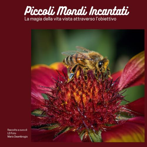 Piccoli mondi incantati: La magia della vita vista attraverso l'obiettivo
