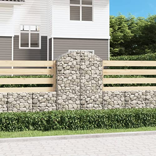 Nqyjm Cestino gabbioni Forma Arco Ferro zincato 100x50x140/160 cm Zincato Cestino Recinzioni per Giardino Metallici Gabbioni Fioriera
