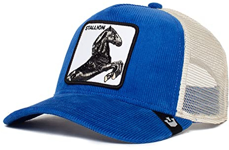 Goorin Bros Gorra Unisex de Pana Ajustable The Farm, Color Azul (Sly Stallione), Talla única, Talla única