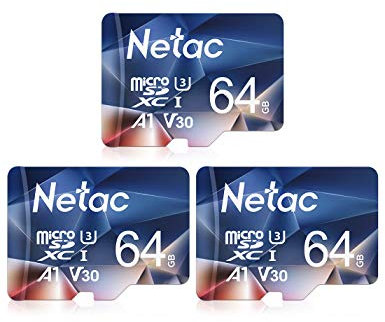 Netac 64G Scheda Micro SD, Scheda di Memoria 3 Pack, A1, U3, C10, V30, 4K, 667X, UHS-I, Velocità Fino a 100/30 MB/Sec(R/W), Micro SD Card per Telefono, Videocamera, Switch, Tablet