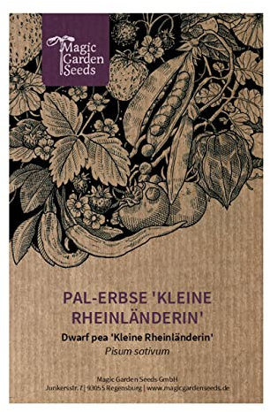 Pal-Erbse 'Kleine Rheinländerin' (Pisum sativum) - ca. 100 Samen