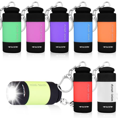Mini-LED-Taschenlampe: 8 Stück USB-Wiederaufladbare Tragbare Schlüsselanhänger-Taschenlampen für Kinder, Ideal für Camping, Wandern