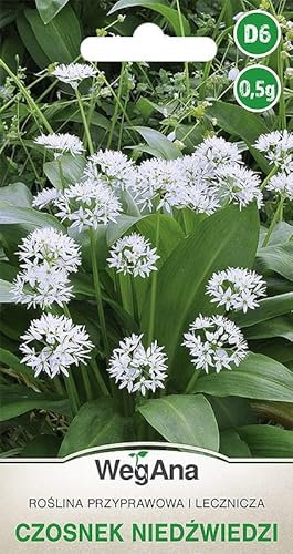 WegAna Bärlauch Samen 0,5g Robuste Gemüsesamen, Gemüse Samen, Saatgut Samen Anzucht