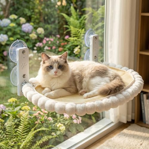 Ecofocet 50 x 36cm Hamaca Gato Ventana,Cama Ventana para Gatos,Cat Window Perch Bed,Hamaca para Gatos Plegable,con Fuerte Succión,Soporta hasta 18 KG,Apto para Todo el Año