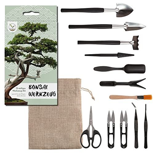 Bonsai Werkzeug-Set 13-teilig mit praktischem Aufbewahrungsbeutel - Mini Gartenwerkzeug für Zimmerpflanzen und eine professionelle Bonsai-Zucht Mehrfarbig