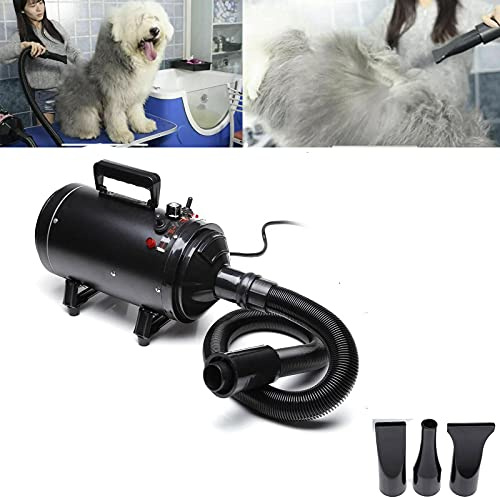 Chien Professionnel Séchoir 2800W, pulseur pour chien silencieux Vitesse Continue, 2 vitesse, 2 Température: 35°c et 65°c, Souffleur Chien pulseur silencieux pour Chien/Chat et Autres, avec 4 Buses
