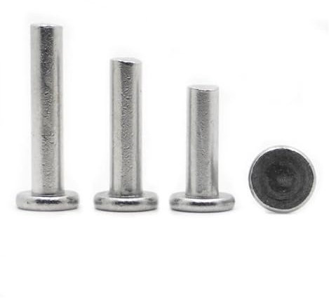M2 M3 M4 M5 M6 M8 Aluminium Vollnieten AL Knock Flachkopfniet GB109 (Size : M6 10pcs, Color : 10mm)