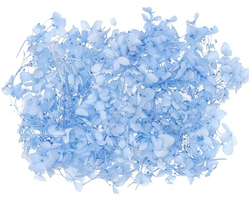 The Baked Studio - Original Dried Flower Hydrangea Set For Cake & Cupcake Decorating & Others Crafts (Light Blue)