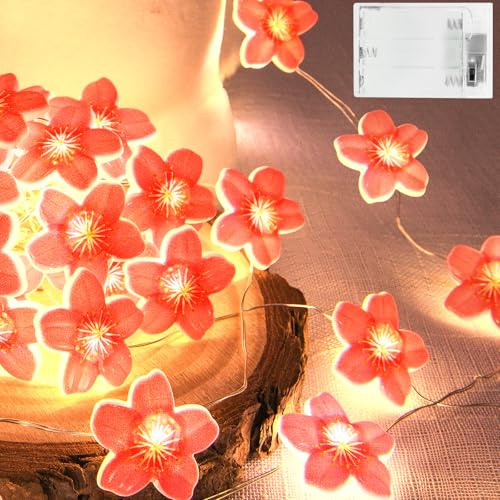 Isisyu LED Lichterkette Kirschblüten, 2M 20LED Blumen Girlande mit Timer für Frühling Deko, Innen, Hochzeit, Party, Schlafzimmer, Garten Dekoration