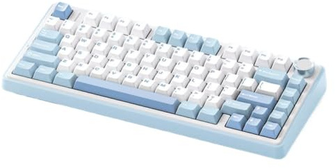 DhnvGCSge Wireless Wired Gaming Mechanical Keyboard 2.4G RGB Customized 75 Percent Layout OEM Profile Gasket Structure Compatible With F75(Sea Salt Blue)