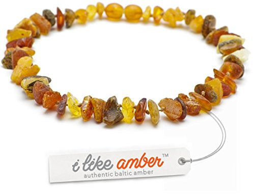 Bernsteinkette Hund & Katze I Bernsteinhalsband 100% Bernstein aus Litauen