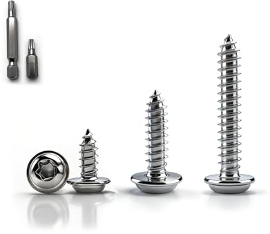NZNSML 100 Stück Tellerkopfschrauben M4 x 12 mm Linsenkopfschrauben Torx | Flachkopfschrauben Holz Blechschrauben Torx Edelstahl Selbstschneidende Schrauben Vollgewinde mit Schraubendreher Bit