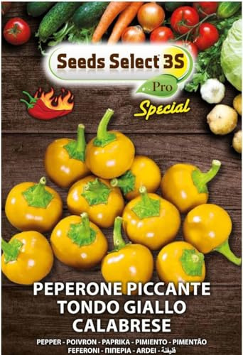 SEEDS SELECT PRO Semi di Peperone Piccante Calabrese Tondo Giallo, Germinazione 14 Giorni, Altezza Pianta 40 cm